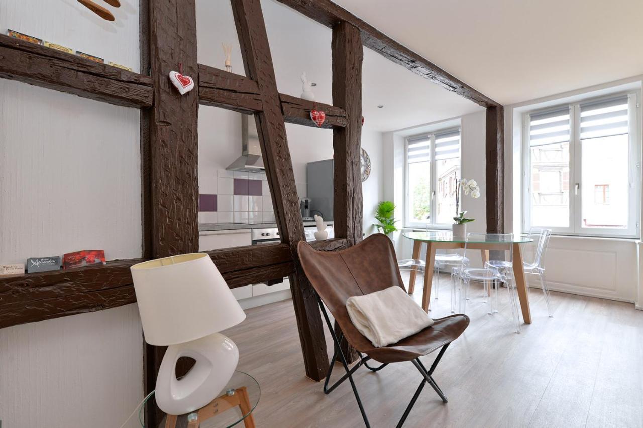 Petite Venise Gite Saint Pierre 2 Pieces 3 Etoiles Classement Tourisme Colmar Bagian luar foto
